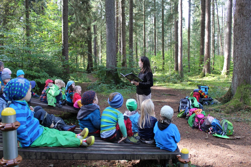 Konzept - Wald Kreativ Kindergarten Neuried